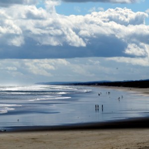 Muriwai Beach 